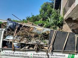 Best Shed Removal  in Dundee, OR